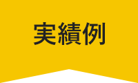 実績例